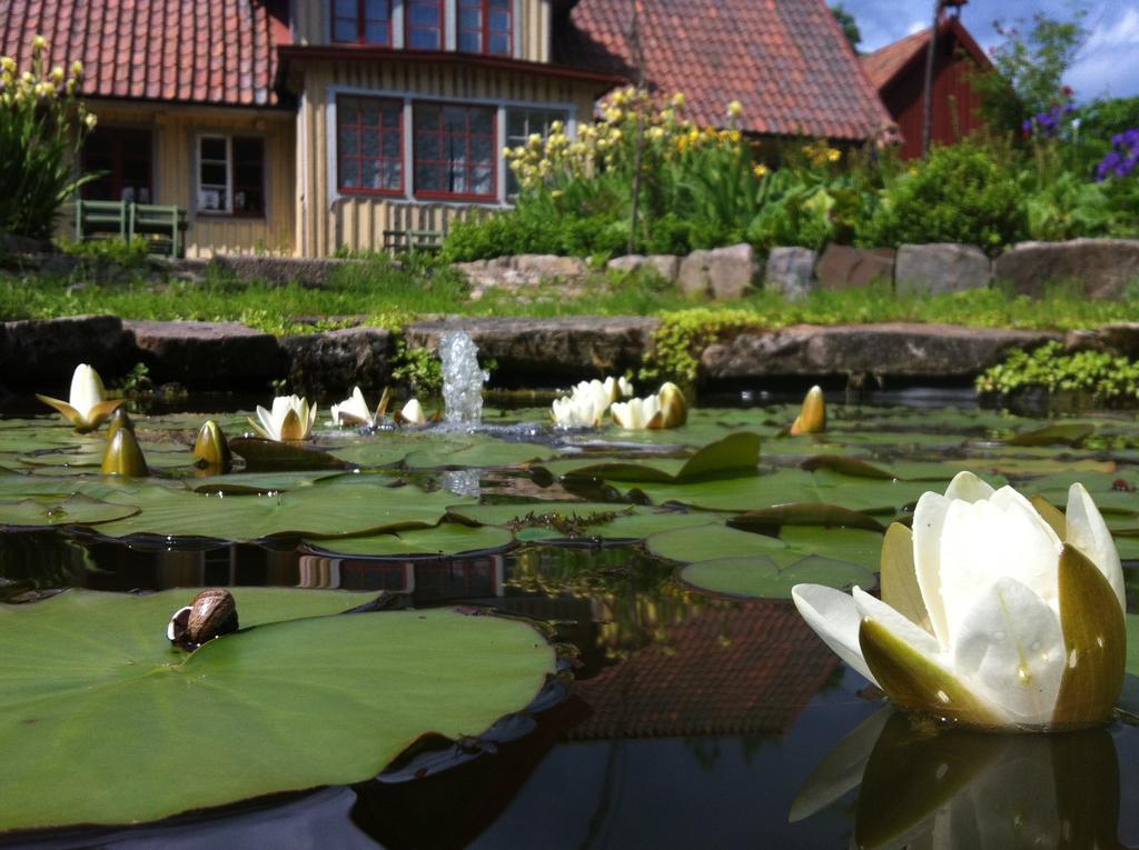 Vildrosor & Hoens Hagstad Екстериор снимка